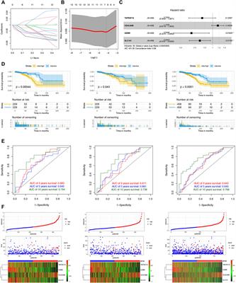 The cuproptosis-related signature predicts prognosis and indicates immune microenvironment in breast cancer